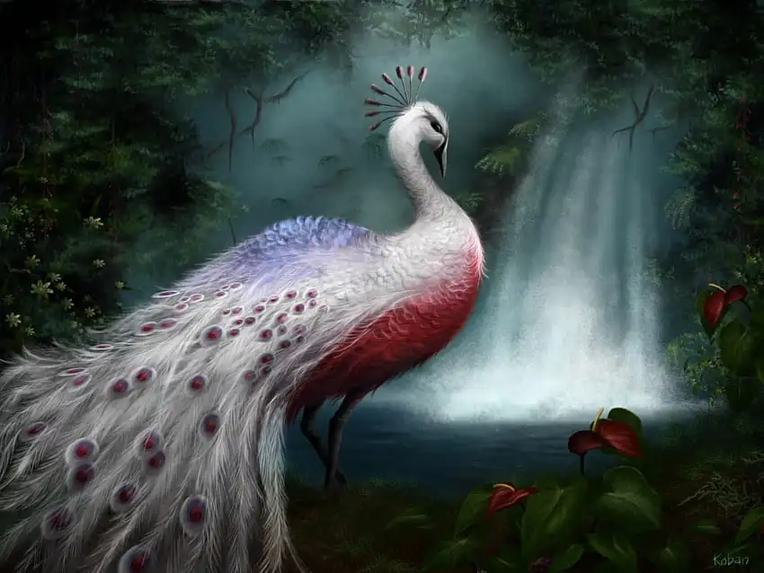 White Red Peacock